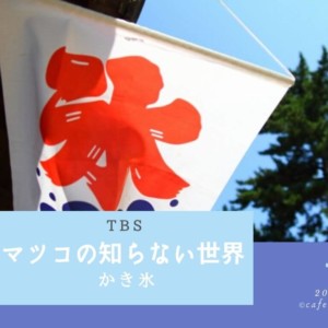 【マツコの知らない かき氷の世界 2019.7.2】紹介されたお店をまとめ紹介!