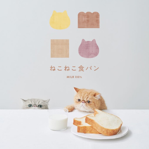 ねこねこ食パン