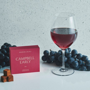 【期間限定】MAISON CACAOの旅するメゾンシリーズ第3弾はワインぶどうのアロマ生チョコ