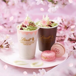 【期間限定】リンツから 桜咲く チョコレートドリンク発売!さくらを存分に味わえる春だけのドリンク